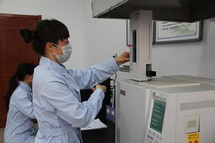 承德市多措并舉推進(jìn)農(nóng)產(chǎn)品綜合利用技術(shù)開(kāi)發(fā)，賦能農(nóng)業(yè)綠色轉(zhuǎn)型與產(chǎn)業(yè)升級(jí)