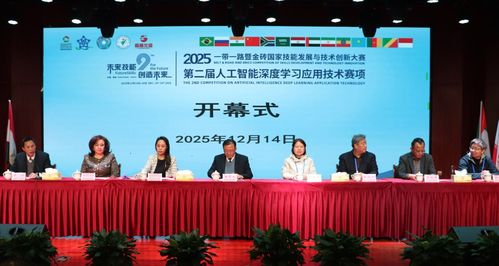 技能交融 創(chuàng)新引領(lǐng)——2025一帶一路暨金磚國(guó)家技能發(fā)展與技術(shù)創(chuàng)新大賽在桐城師專舉辦，技術(shù)服務(wù)賦能未來(lái)